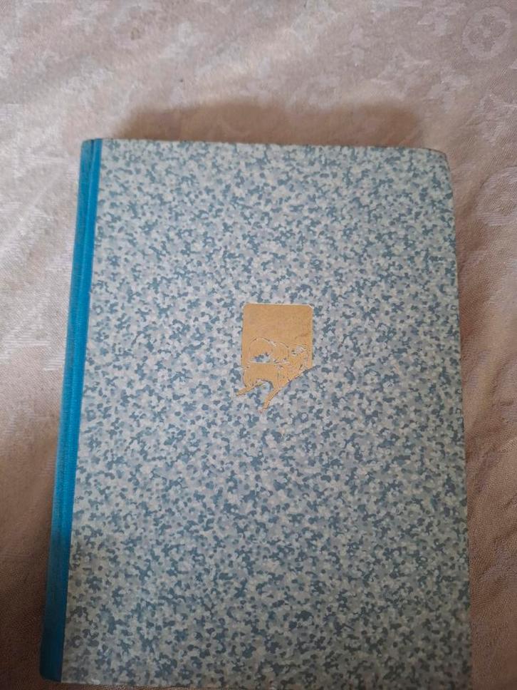 Terug naar het Vaderland – Karl Götz (Hamer, 1943), Verzamelen, Militaria | Tweede Wereldoorlog, Overige soorten, Boek of Tijdschrift