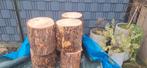7 boomstammen (decoratie) – 50 cm hoog, 45 cm doorsnede, Ophalen, Overige houtsoorten, Blokken