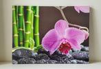 Canvas orchidee, Ophalen, Minder dan 50 cm, Gebruikt, Overige typen