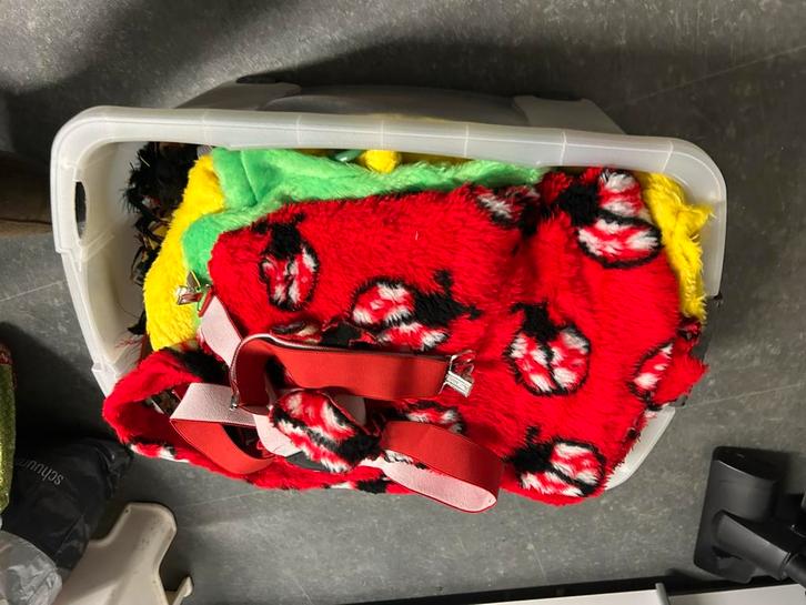 Carnavalspakken dame maat S/M, Kleding | Dames, Carnavalskleding en Feestkleding, Zo goed als nieuw, Carnaval, Ophalen of Verzenden