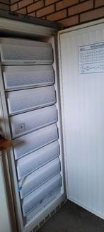 Liebherr diepvrieskast *GRATIS *, Gebruikt, 160 cm of meer, Ophalen, Vrieskast