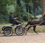 Enkelspan Anatomic Paard / Pony, Dieren en Toebehoren, Rijtuigen en Koetsen, Zo goed als nieuw, Marathonwagen, Paard of Pony, Gesloten
