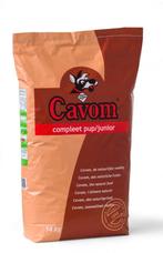 Cavom puppy brokken, Dieren en Toebehoren, Ophalen, Hond