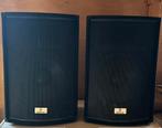 Te koop: Devine Trono 15 passieve speakers (set), Zo goed als nieuw, 120 watt of meer, Front, Rear of Stereo speakers, Ophalen