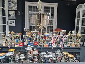 Bekers Tae Kwon Do - Trofeeën Collectie beschikbaar voor biedingen