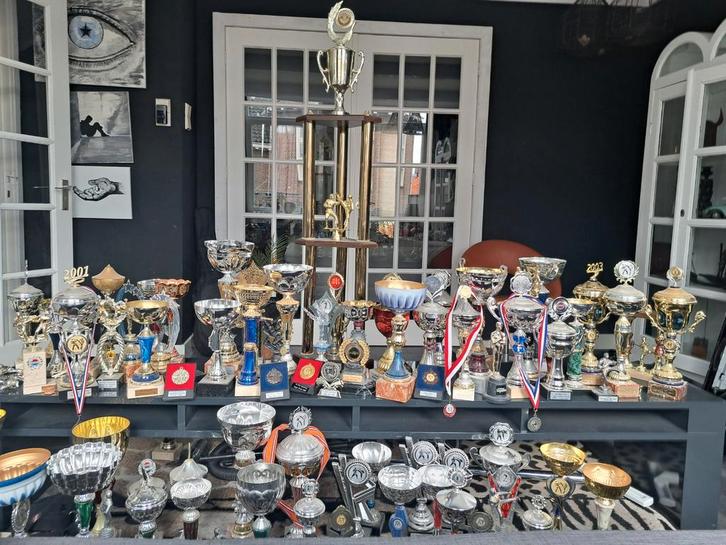 Bekers Tae Kwon Do - Trofeeën Collectie, Verzamelen, Sportartikelen en Voetbal, Gebruikt, Overige typen, Overige sporten, Ophalen
