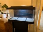 60L aquarium (leeg) met veel toebehoren, Dieren en Toebehoren, Ophalen, Gebruikt, Gevuld zoetwateraquarium