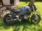 Buell Lightning XB 12 STT  (prijs verlaagd), Motoren, Motoren | Buell, Particulier