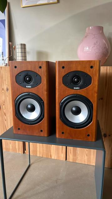 Acoustic Energy AESPRIT 300 luidsprekers matched pair beschikbaar voor biedingen