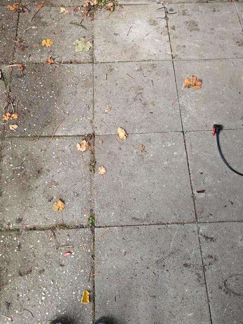 marktplaats tuintegels gratis afhalen