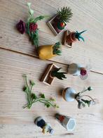 Miniatuur plantjes en vaasjes 1:12, Verzamelen, Poppenhuizen en Toebehoren, Ophalen of Verzenden, Zo goed als nieuw, Poppenhuis