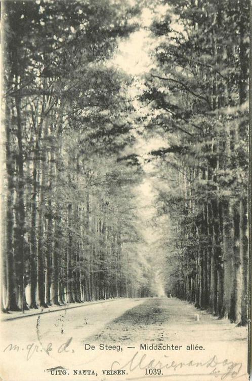 (387-249-033) De Steeg Middachter Allee, Verzamelen, Ansichtkaarten | Nederland, Gelderland, Verzenden