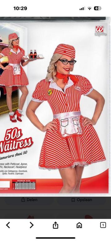 SERVEERSTER VERKLEEDSET JAREN 50 beschikbaar voor biedingen