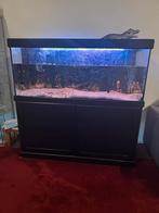 Nette leeg aquarium met nieuwe filter, Ophalen of Verzenden, Leeg aquarium