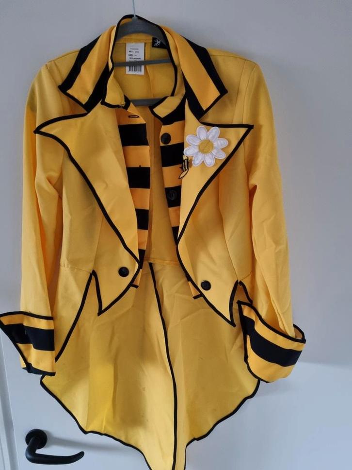 4x Bijen kostuum set - Carnaval of themafeest!, Kleding | Dames, Carnavalskleding en Feestkleding, Zo goed als nieuw, Carnaval