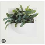 Elho Green Gallery (wand-)plantenbakje, Kunststof, Minder dan 30 cm, Rond, Ophalen of Verzenden