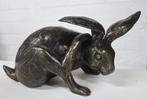 HAAS KRABT AAN OOR / bronzen beeld, Nieuw, Info@huisentuindecoratiemarie.nl, Huis en tuin decoratie marie, Dierenbeeld