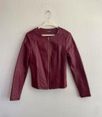 Jack/jasje bikerjack bordeauxrood maat s, Verzenden, Zo goed als nieuw, Jasje, Hema