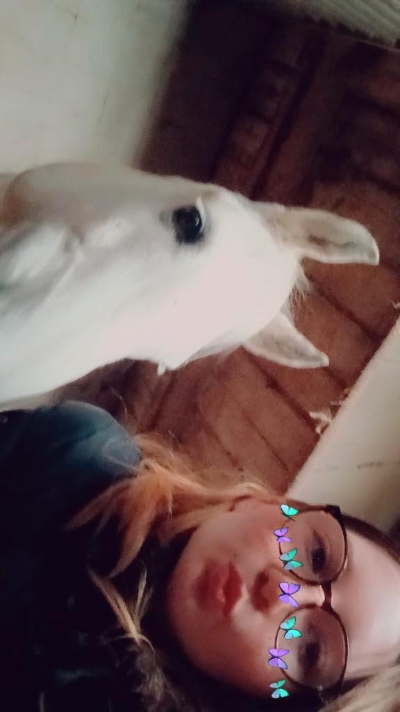 Verzorgpony gezocht, Dieren en Toebehoren, Paarden en Pony's | Verzorgingsproducten, Ophalen of Verzenden