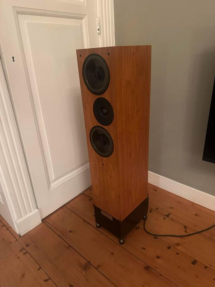 Living Voice IBX-R2 High-End Luidsprekers, Audio, Tv en Foto, Luidsprekers, Gebruikt, Front, Rear of Stereo speakers, 120 watt of meer