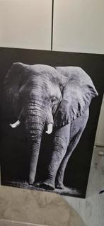Schilderij Olifant, Huis en Inrichting, Ophalen, Zo goed als nieuw, Schilderij, 75 cm of meer