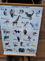 *** Poster dieren alfabet in perfecte staat., Ophalen of Verzenden, Zo goed als nieuw, Wanddecoratie