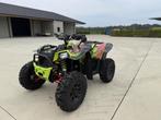 quad, Motoren, Quads en Trikes, 2 cilinders, Meer dan 35 kW, 1000 cc