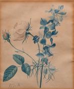 GJJ van Os - Aquarel van bloem, Antiek schilderij, Sotheby's, Antiek en Kunst, Kunst | Schilderijen | Klassiek, Ophalen of Verzenden