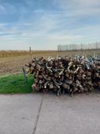 haardhout, Tuin en Terras, Haardhout, 3 tot 6 m³, Ophalen, Overige houtsoorten, Stammen