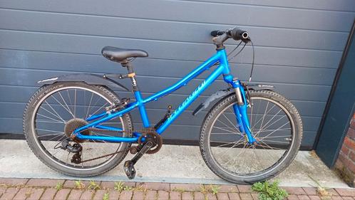 Mountainbike Specialized, Fietsen en Brommers, Fietsen | Dames | Sportfietsen en Toerfietsen, Zo goed als nieuw, Overige merken