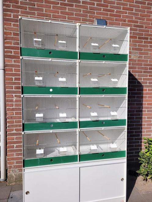 Mooie heesakker broedkooien/kweekkooien, Dieren en Toebehoren, Vogels | Hokken en Kooien, Zo goed als nieuw, Broedkooi of Kweekkooi