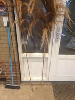 Pampas pluim, Huis en Inrichting, Ophalen