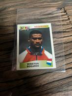 Panini euro 96 - #80 Bogarde, Sticker, Zo goed als nieuw, Verzenden