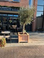bloembakken volgens je eigen idee!, Tuin en Terras, Bloembakken en Plantenbakken, Tuin, Nieuw, Ophalen of Verzenden, 60 cm of meer
