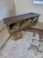 3 manetjes cavias met hok gratis, 110 cm of meer, Zo goed als nieuw, Hok, Ophalen