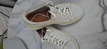 Ecco schoenen maat 36 beschikbaar voor biedingen