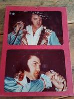 Elvis Presley orginele foto's., Ophalen of Verzenden, Zo goed als nieuw, Foto of Kaart