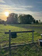 Stalling en weidegang aangeboden op toplocatie, Dieren en Toebehoren, Stalling en Weidegang, Stalling