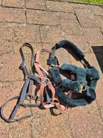 Halsters maat cob/full maar € 6,00 voor 4 stuks, Ophalen of Verzenden, Zo goed als nieuw, Overige soorten