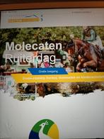 Veel stokpaarden te koop voor Molencaten Ruiterdag Hattem, Kinderen en Baby's, Ophalen