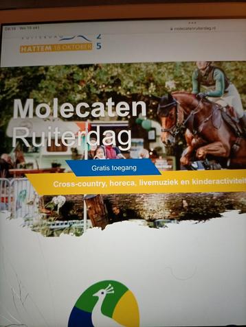Veel stokpaarden te koop voor Molencaten Ruiterdag Hattem beschikbaar voor biedingen