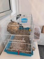 Vogels te koop, Dieren en Toebehoren, Ophalen, Zo goed als nieuw, Aluminium, Vogelkooi