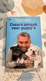 Cesar Millan - Cesars aanpak voor puppy's, Ophalen, Honden, Cesar Millan, Zo goed als nieuw