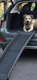 Hondenhelling / Opvouwbaar / Antislip / Nieuw, Ophalen, Nieuw