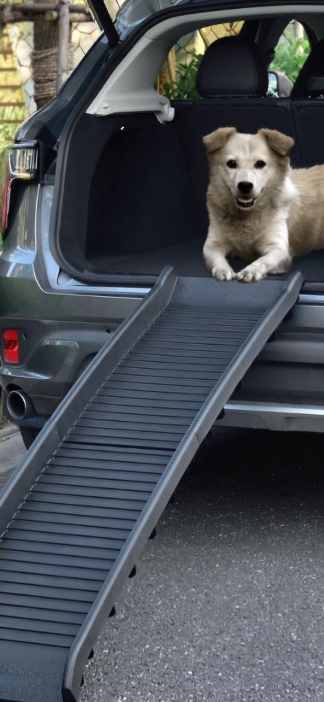 Hondenhelling / Opvouwbaar / Antislip / Nieuw, Dieren en Toebehoren, Honden-accessoires, Nieuw, Ophalen