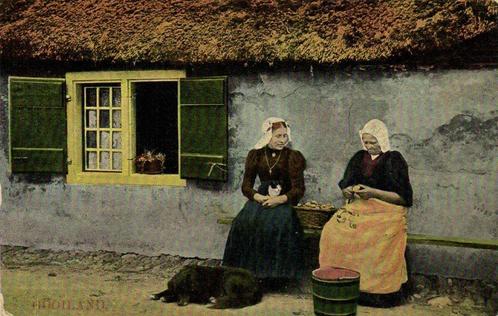 Gooiland - hond vrouw klederdracht - ongelopen, Verzamelen, Ansichtkaarten | Nederland, Ongelopen, Noord-Holland, 1920 tot 1940