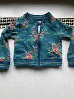 Petit Louie, leuk vestje met rits maat 98-104, Gebruikt, Trui of Vest, Petit Louie, Verzenden