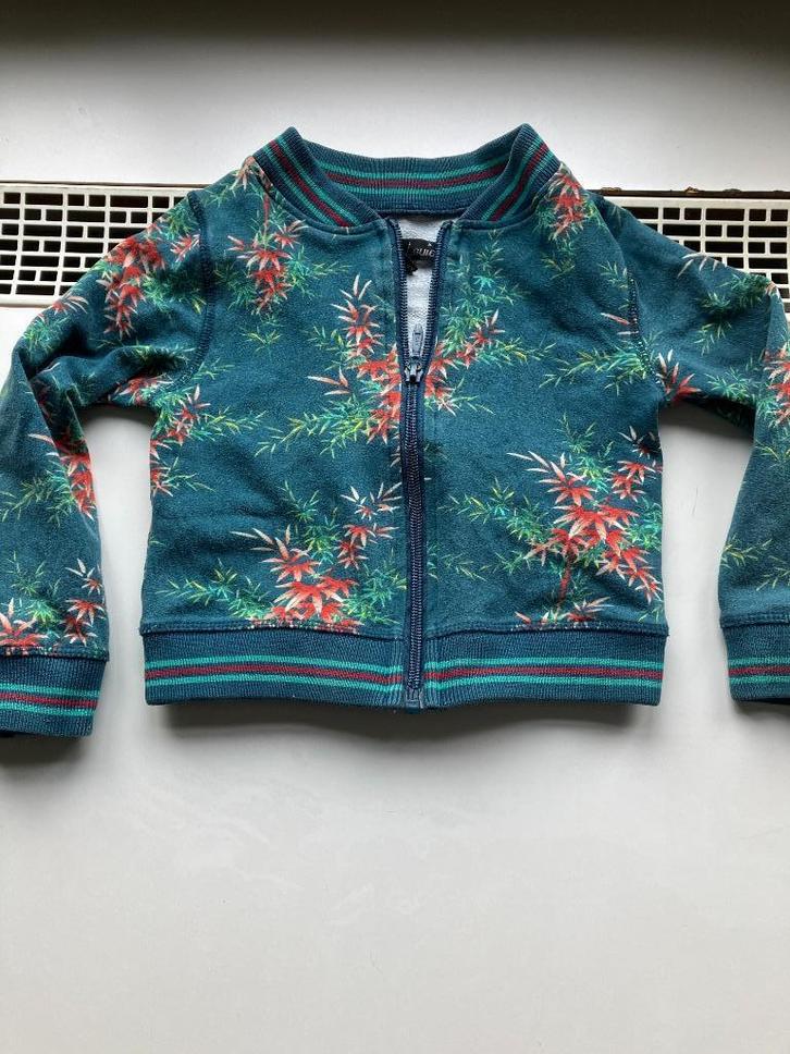 Petit Louie, leuk vestje met rits maat 98-104, Kinderen en Baby's, Kinderkleding | Maat 98, Gebruikt, Meisje, Trui of Vest, Verzenden
