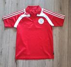 Ajax polo shirt rood adidas maat L, Maat L, Ophalen of Verzenden, Zo goed als nieuw, Shirt