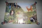 Poster met dieren uit het bos.  92 x 61 cm, Ophalen of Verzenden, A1 t/m A3, Dier of Natuur